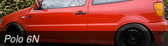 Polo 6N