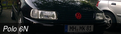 Polo 6N