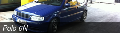Polo 6N