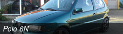 Polo 6N
