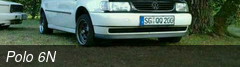 Polo 6N