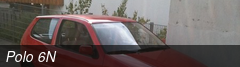 Polo 6N