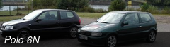 Polo 6N