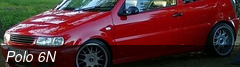 Polo 6N