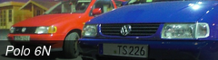 Polo 6N