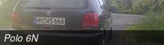 Polo 6N