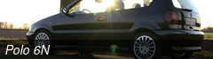 Polo 6N