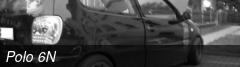 Polo 6N