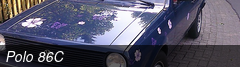 Polo 86C