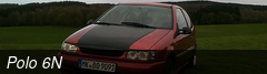 Polo 6N