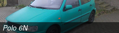 Polo 6N