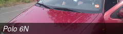 Polo 6N