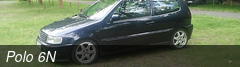 Polo 6N