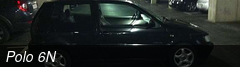 Polo 6N
