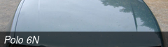 Polo 6N
