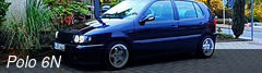 Polo 6N