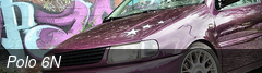 Polo 6N