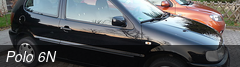 Polo 6N
