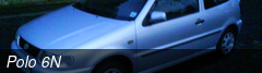 Polo 6N