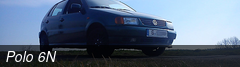 Polo 6N