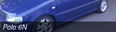 Polo 6N