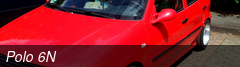 Polo 6N