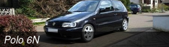 Polo 6N