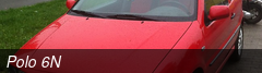 Polo 6N