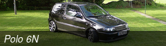 Polo 6N