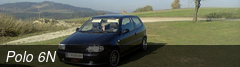 Polo 6N