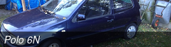 Polo 6N