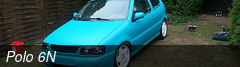 Polo 6N