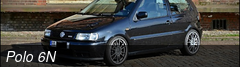 Polo 6N