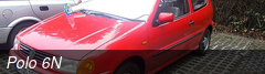 Polo 6N