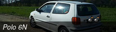 Polo 6N