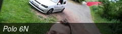 Polo 6N
