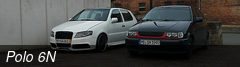 Polo 6N