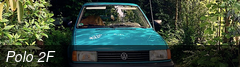 Polo 2F