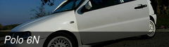 Polo 6N