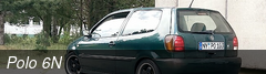 Polo 6N