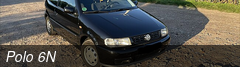 Polo 6N