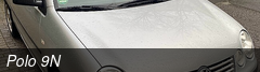 Polo 9N